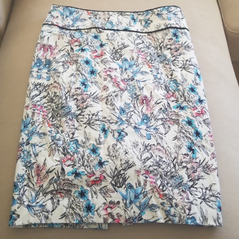 Ann Taylor Pencil Skirt